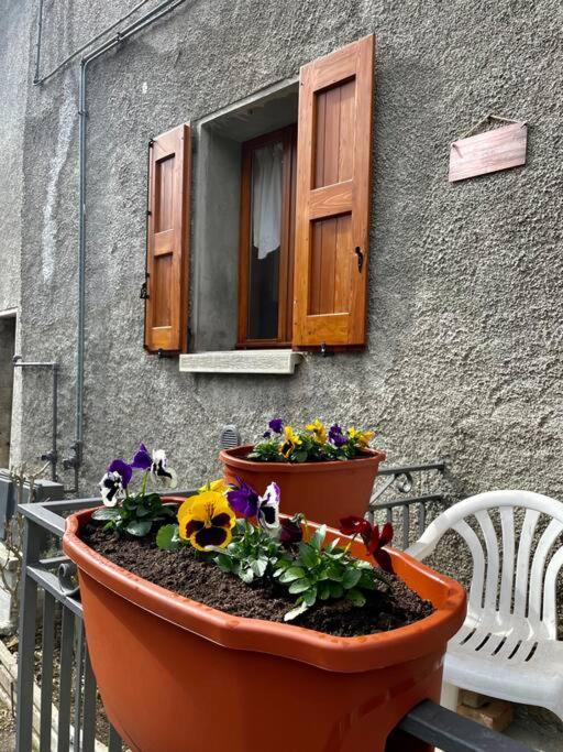 Casa Vacanze Ca' Di Lucchini San Benedetto Val di Sambro Bagian luar foto