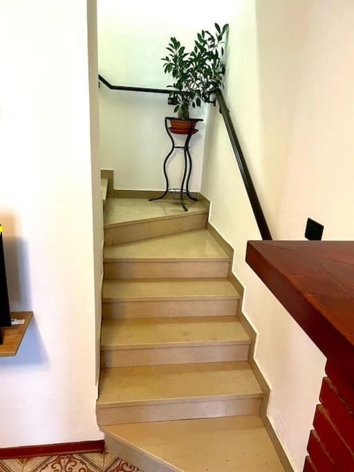 Casa Vacanze Ca' Di Lucchini San Benedetto Val di Sambro Bagian luar foto